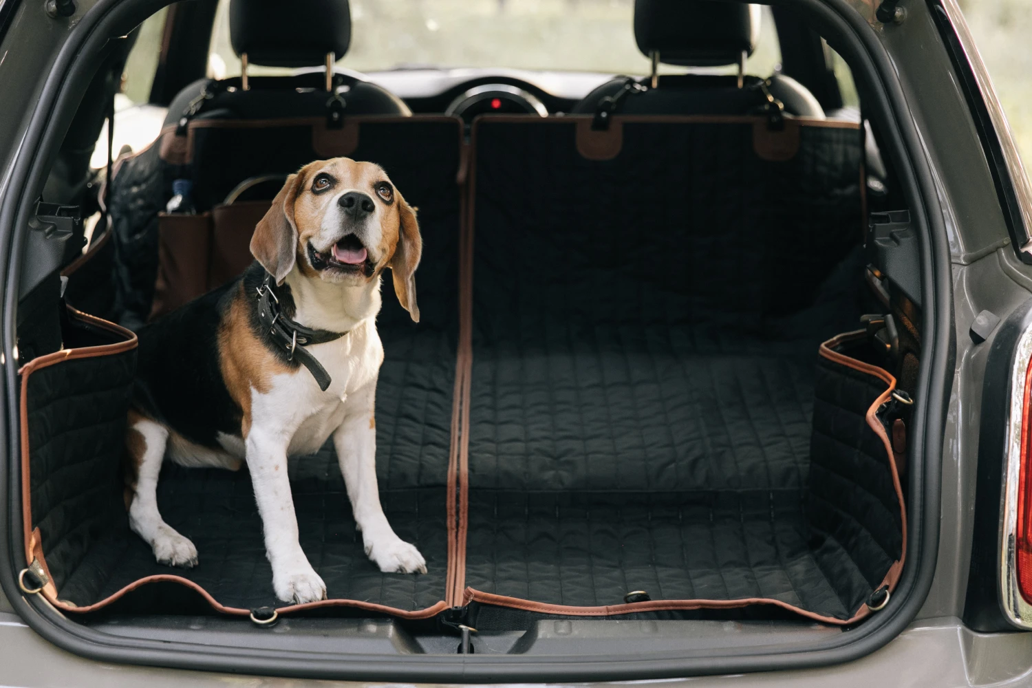 pet seat cover for Nissan Rogue