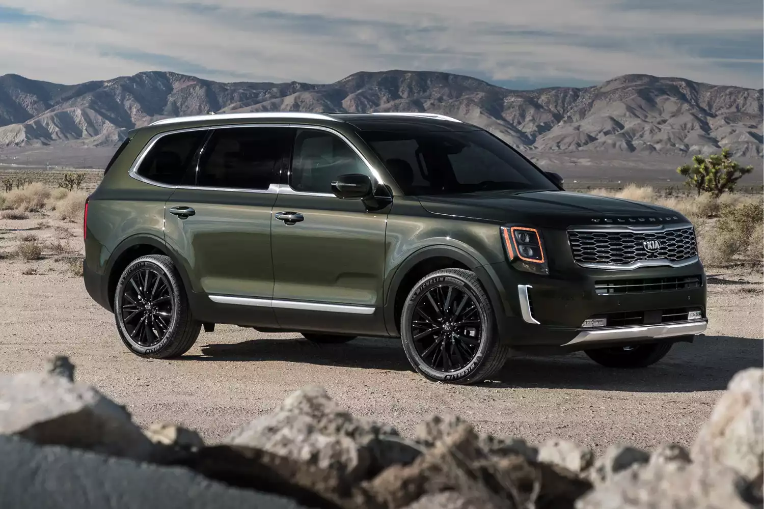 Kia Telluride car trash can