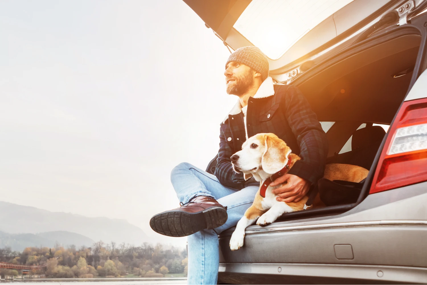 Ford Ranger Dog Car Seat Belt for Beagles