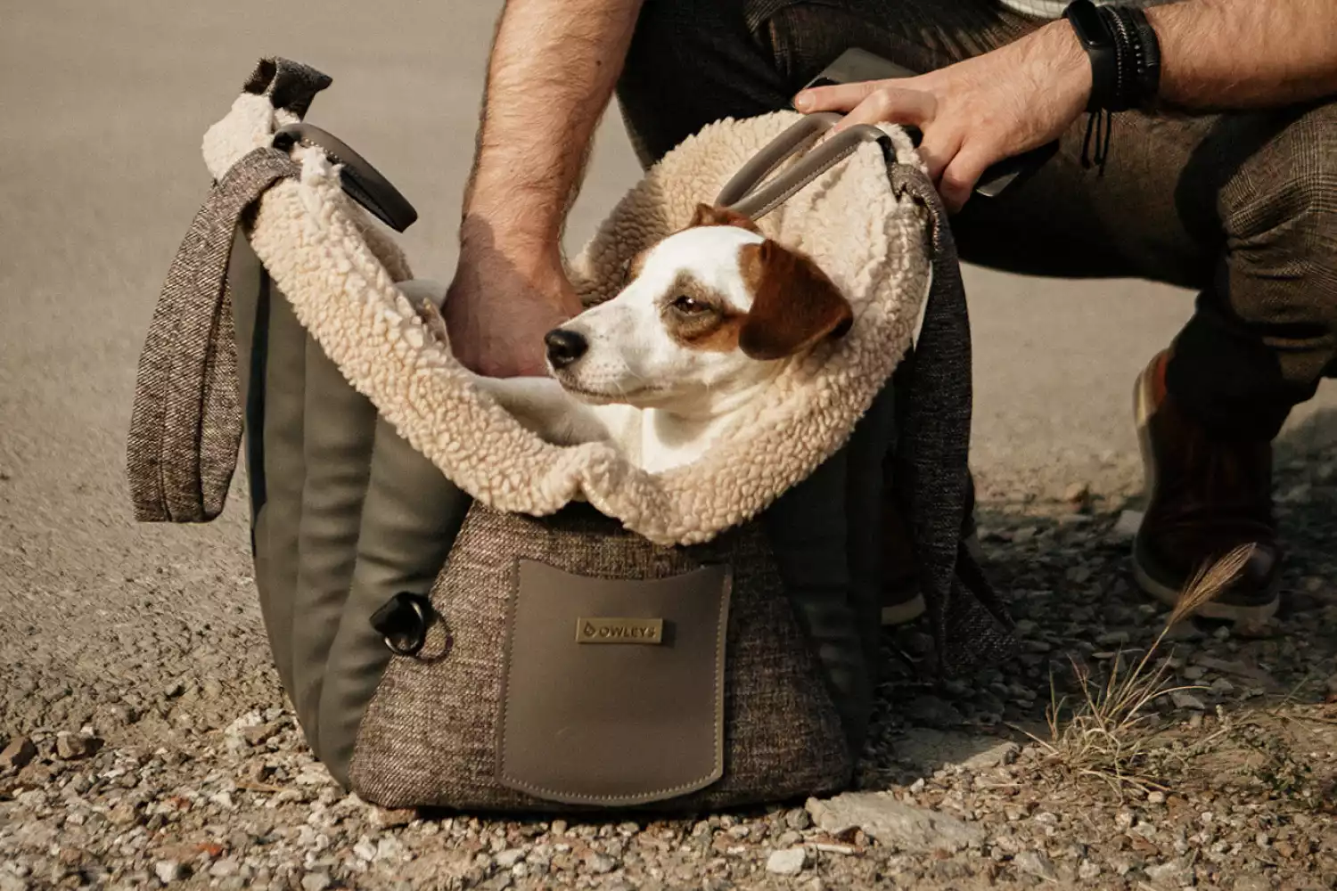 Shiba Inu Dog Carrier Car Seat for Ford Expedition