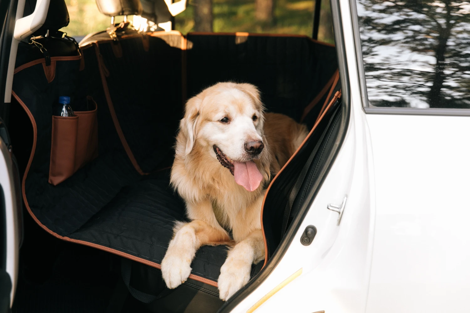 pet seat cover for Audi A4