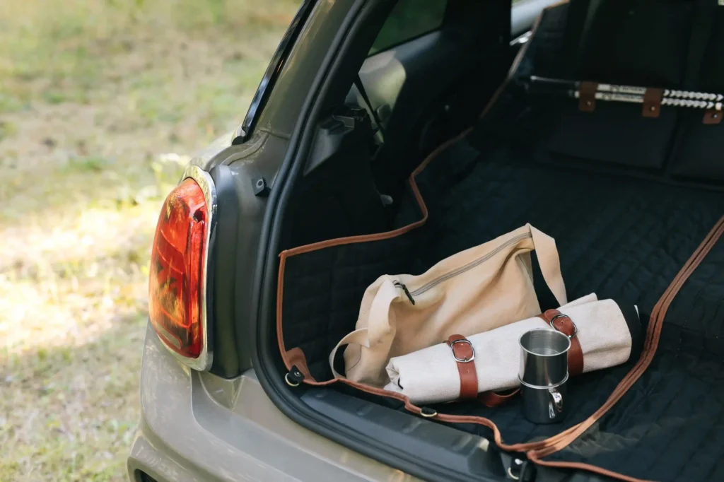 large picnic blankets