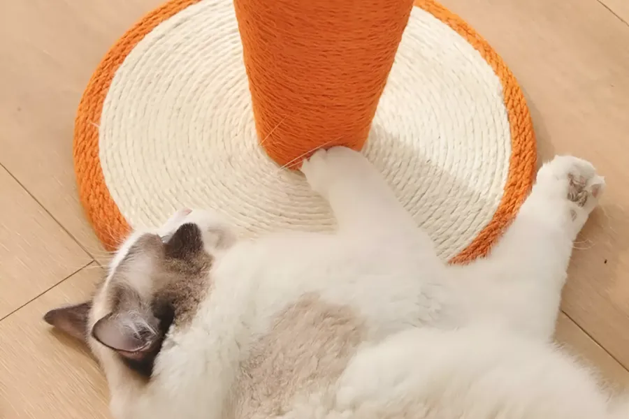 Vegetable Theme Cat Tower